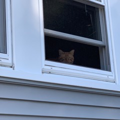 ten percent is better than nothing