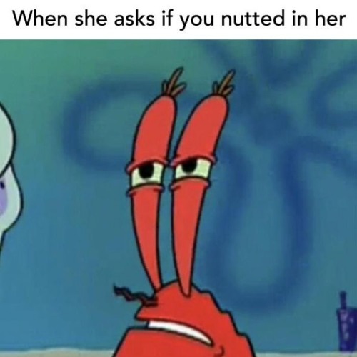 Nutted Definition