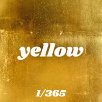 365 Day Challenge By Blanco Suave