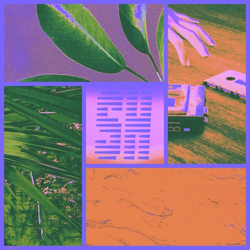 SECRET HANGOUT VOL. 68 🌴✨