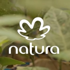 Movimento Natura • Helianthus
