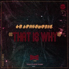 That Is Why Feat. Stevie Wonder