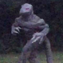 BIG LIZARD