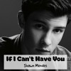 Shawn Mendes If I Cant Have You Independx Remix Mp3