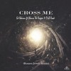 Ed Sheeran Ft Chance The Rapper And Pnb Rock Cross Me Romen Jewels Remix Mp3