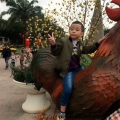 NST - Chi Toi    VietMix