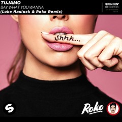 Tujamo - Say What You Wanna (Roko & Luke Hasluck Remix)
