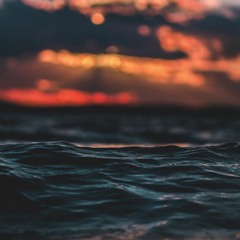 Dancing Whale - Must Hear New Music [june. week 1]