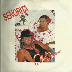 Señorita.MP3
