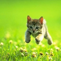 5年後のアイラブユー (ft. yooks)