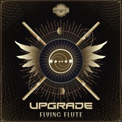 Upgrade - Flying Flute - Out Now On Psygathering Rec