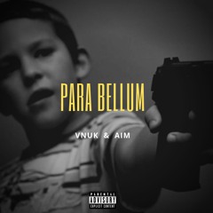 Para Bellum feat. Vnuk