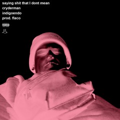 sayin shit that I dont mean w/ indigoendo prod.flaco