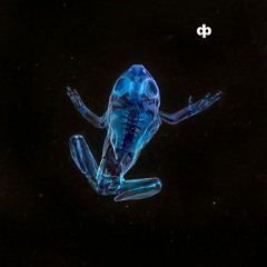 mutations 6 & 7 xcerpt 2