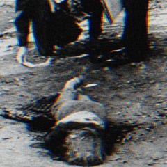 Zotiyac - 1-800-273-TALK