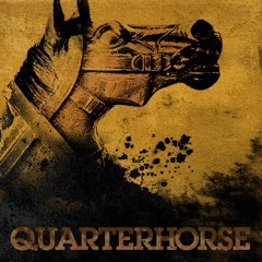 Moonshine Shuffle - Quarterhorse