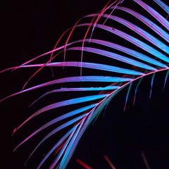 PALMTREES - OSMO x ANIKISAN