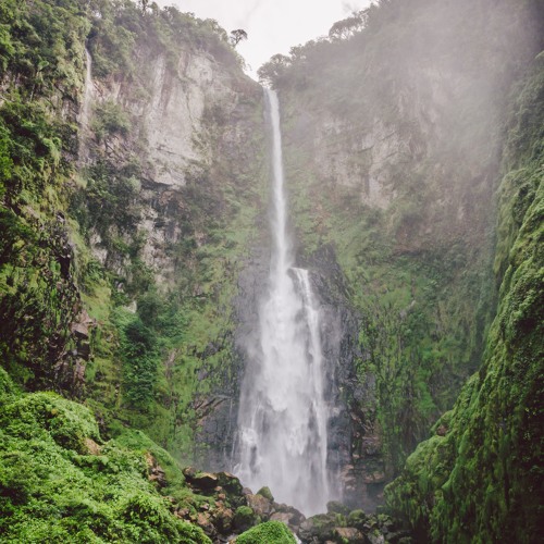 Moving Sounds Of Love And Freedom