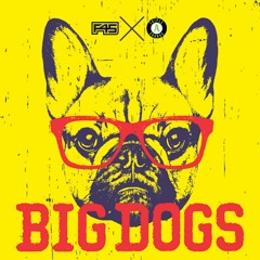 F45 FM Big Dogs  - Triple A Sounds