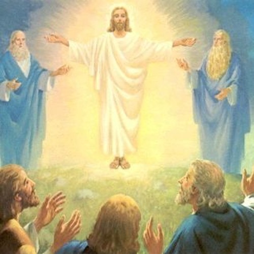 meaning of transfigure meaning of transfigure