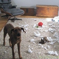 Mando WIP - StreetLunch