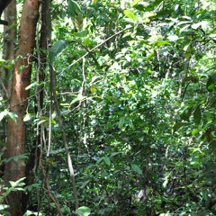 EDM SHOW 12-2012 MIX