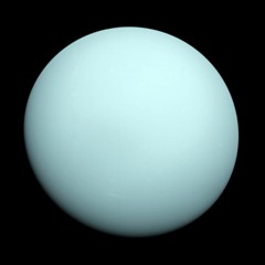 Trip To Uranus