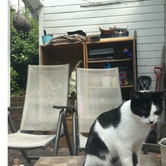 A thing that sounds Life is Strange-y