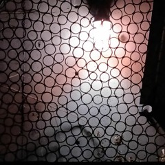 Many Worlds (WIP #12)