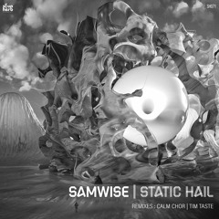 PREMIERE: Samwise - Static Hail (TiM TASTE Remix) [Soupherb Records]