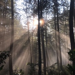 落日飛車 Sunset Rollercoaster – My Jinji (Cover)