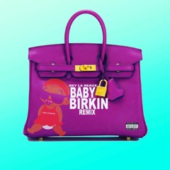 Baby Birkin Sky'la Reaux Remix