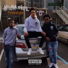 Wild monkey freestyle ft babyskavo and geezio