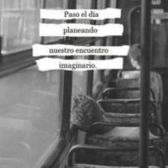 Cartas De Un Enamorado