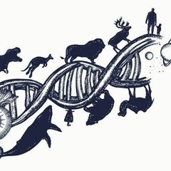 Does Evolution Undermine Christianity? | Prof. James Madden