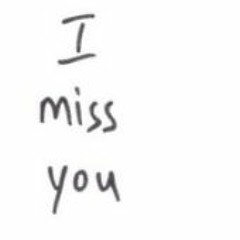 i wont miss you