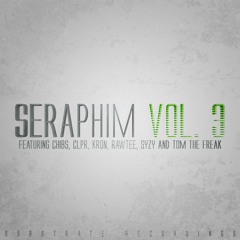 Seraphim Vol. 3