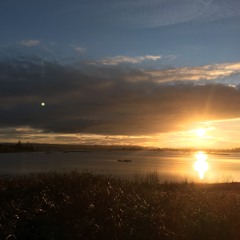 Till I hear it from you (Gin Blossoms)