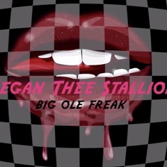 Megan The Stallion - Big Ole Freak (Instrumental)