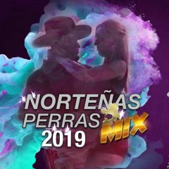 ''Norteñas Perras Mix '' 2019 Mayo (Dj spider PZS)