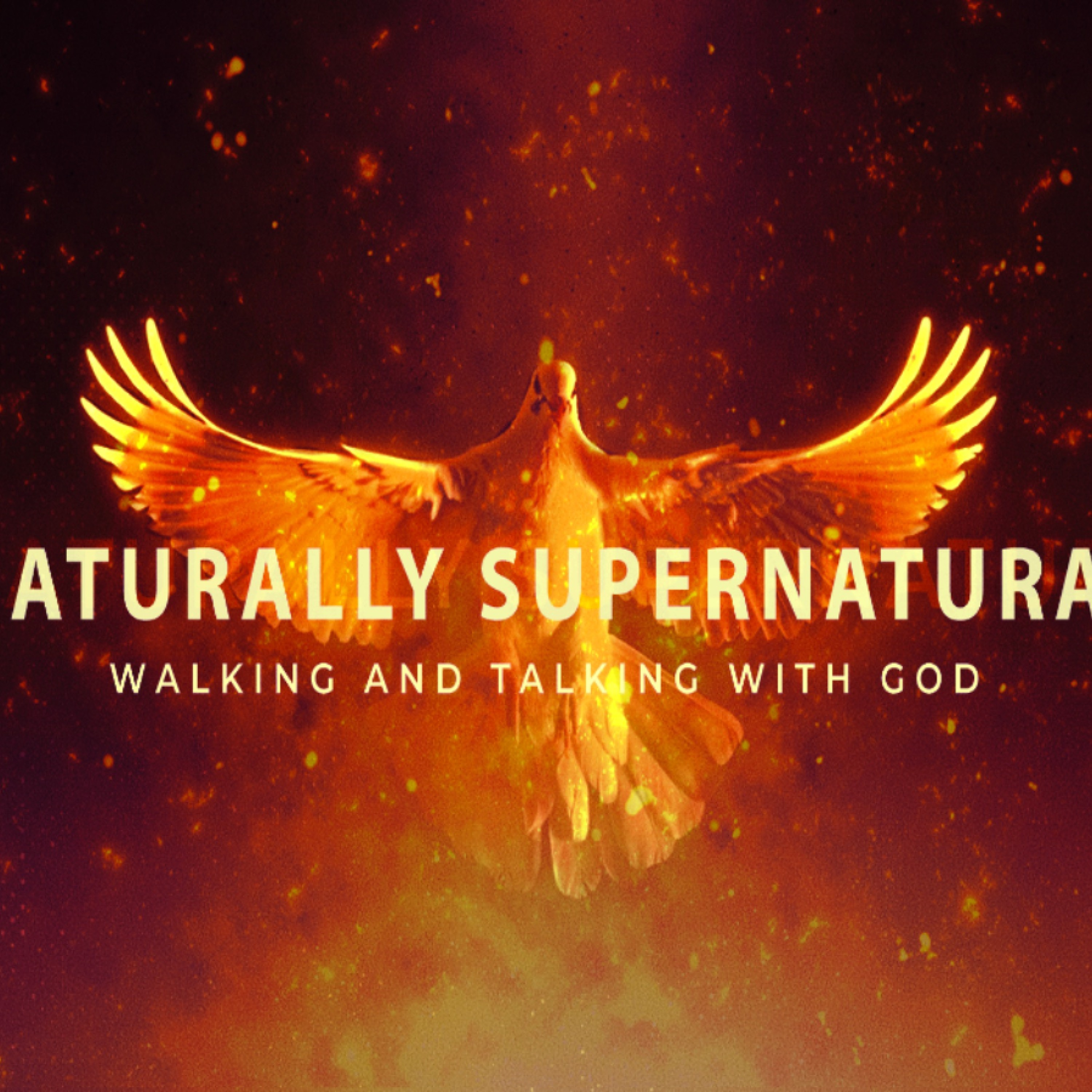 5 - 19 - 19 Naturally Supernatural - Walking and Talking With God episode artwork