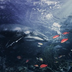 deserter [prod. vows]