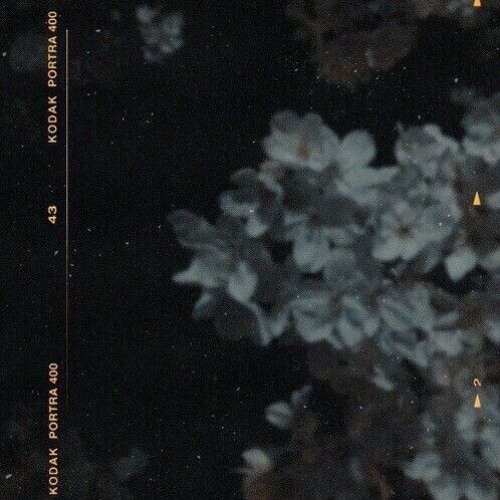 ✚ Webkun - ∞ Internet love ∞