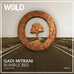 GADI MITRANI - Bumble Bee (Original Mix)