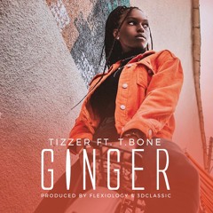 Tizzer ft T-Bonez - Ginger (Prod. By Flexiology x 3DClassique)