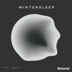 Tennyson - Wintersleep (noroma remix)