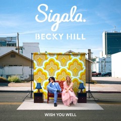 Sigala & Becky Hill - Wish You Well (Alex Hobson Remix) PITCHED
