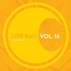 LiveBait 16.08 | 2000-07-03 - Sand