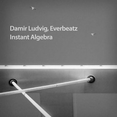 Damir Ludvig, Everbeatz - Instant Algebra (Preview)