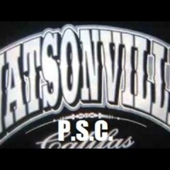 S.E.S. & P.S.C.- young los aka travie ft clownie